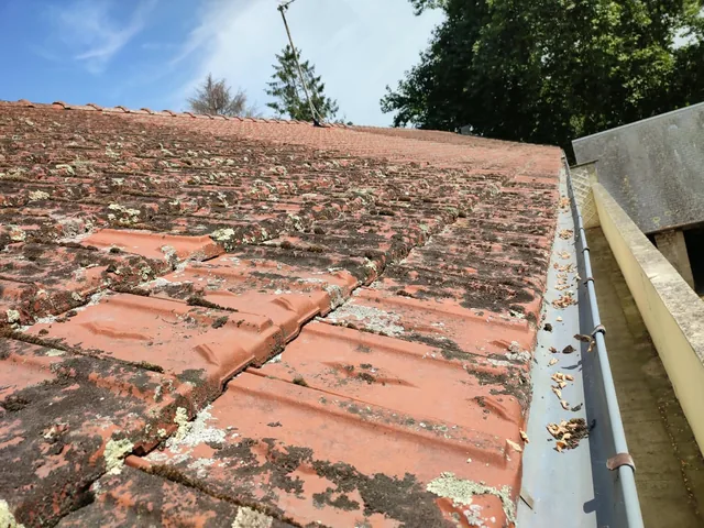 Le toit vu depuis la nacelle : tuiles couvertes de mousse et de lichen.