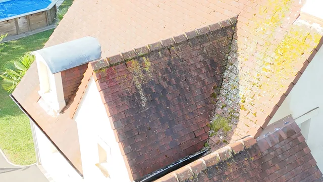 Gros plan au drone d'une toiture en tuile chargée de mousse et de lichen jaune.
