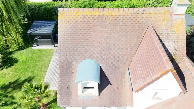 Vue au drone d'une toiture en tuile envahie de lichen jaune sur le faîtage.